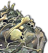 Bones