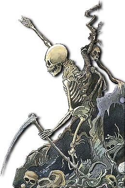 Skeleton