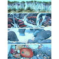 Click to Enlarge